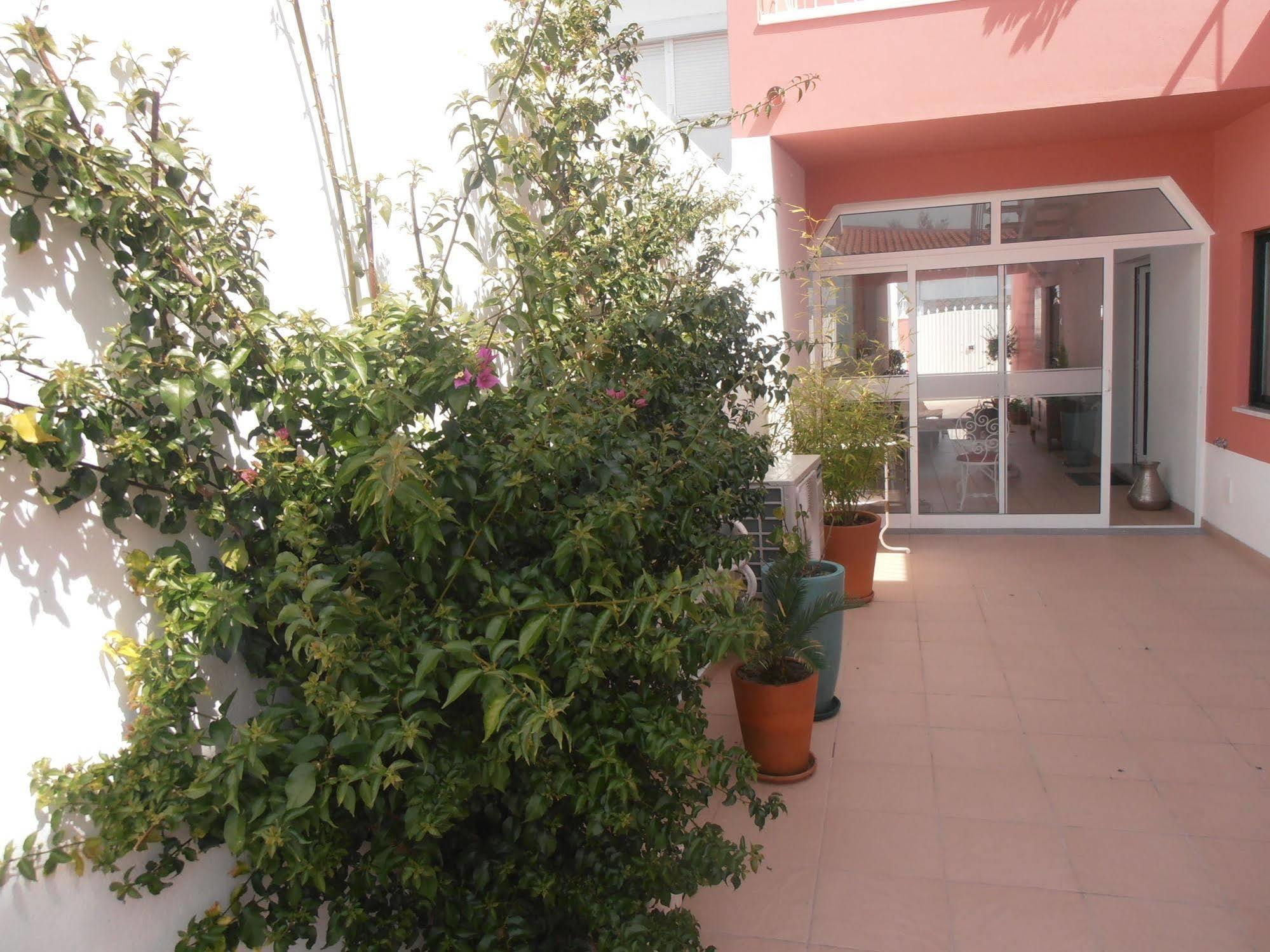 Casa Morgados - Grandola Guesthouse ภายนอก รูปภาพ